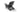 Troy Adirondack Tuinstoelen met Ice Cube – 81x80x96,5cm - Antraciet